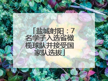 盐城射阳：7名学子入选省橄榄球队并接受国家队选拔